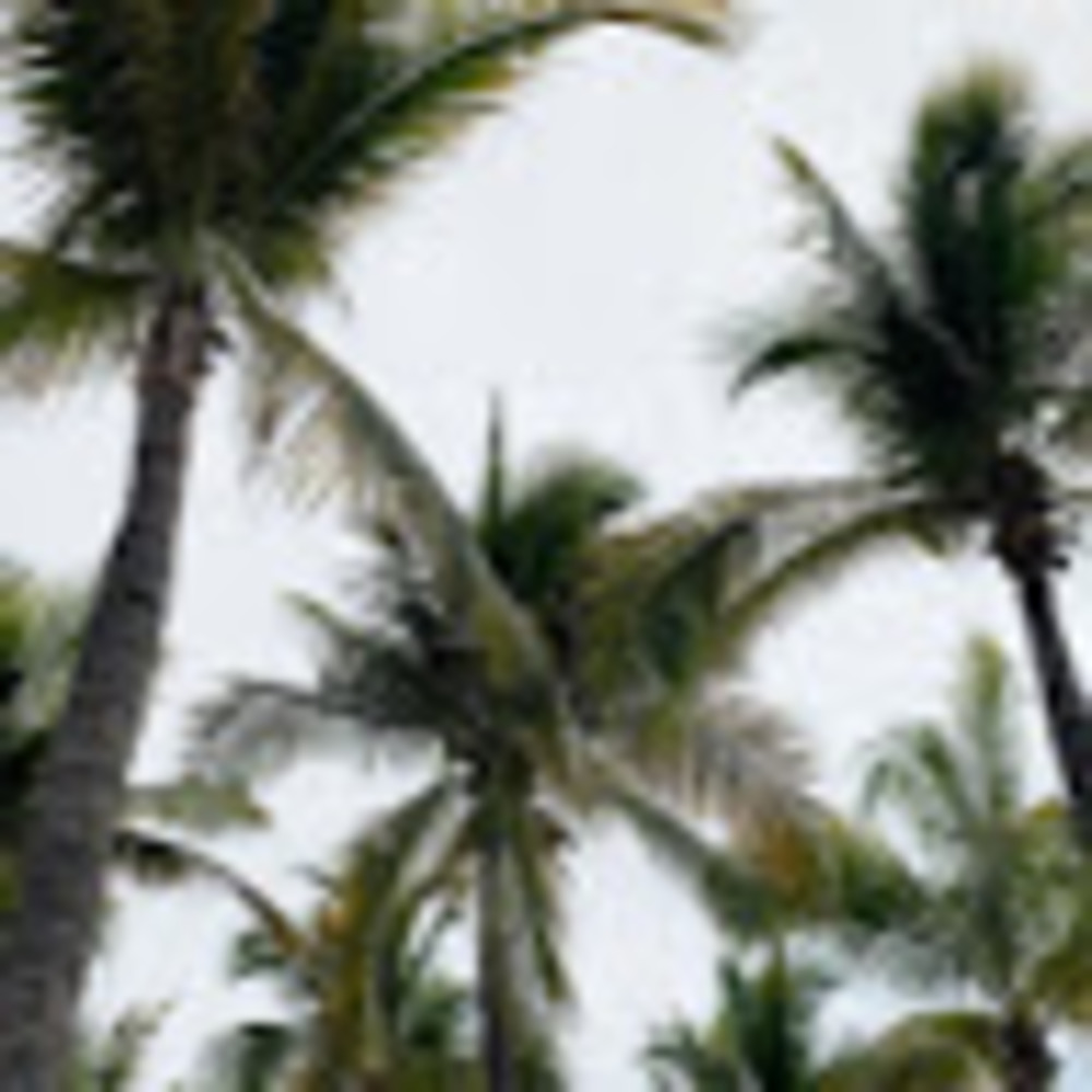 Meet your Posher, Frances